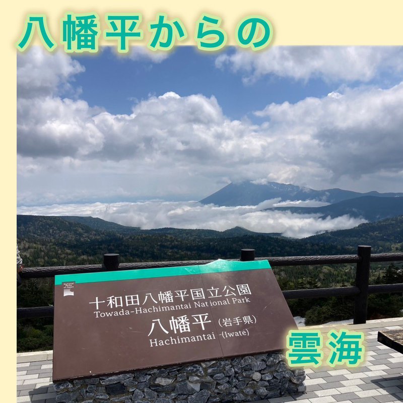 S__140419092_0.jpg